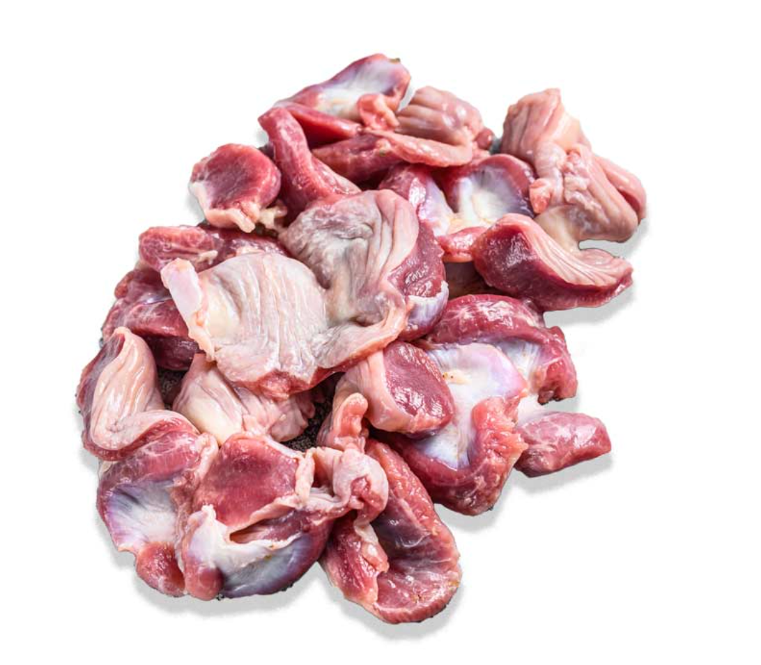 Chicken Gizzard