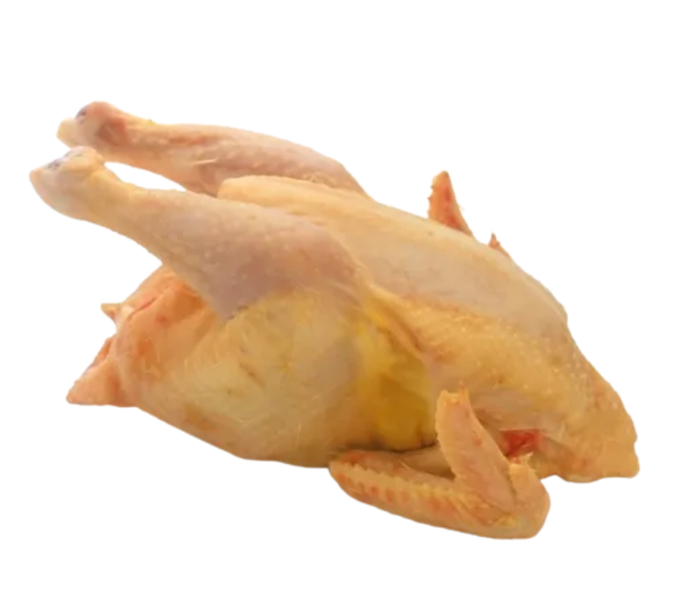 Whole Hard Chicken (local fowl)