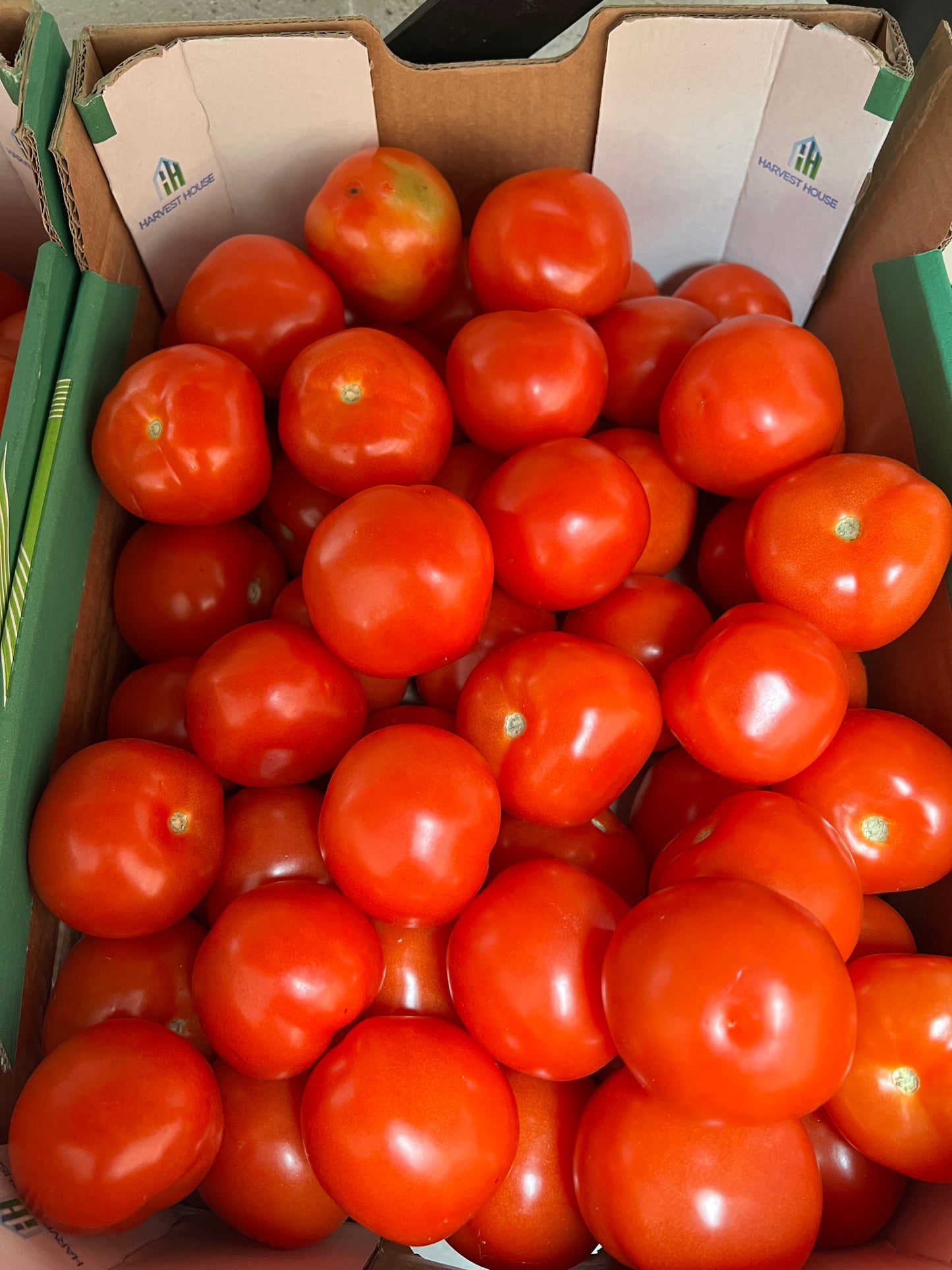 Tomatoes