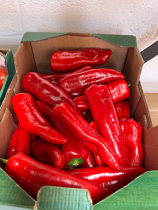 Tatashe / Long Peppers