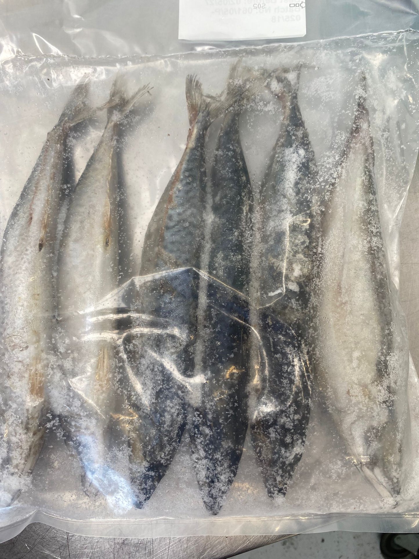 KAMPALA MACKEREL (Sardine taste).