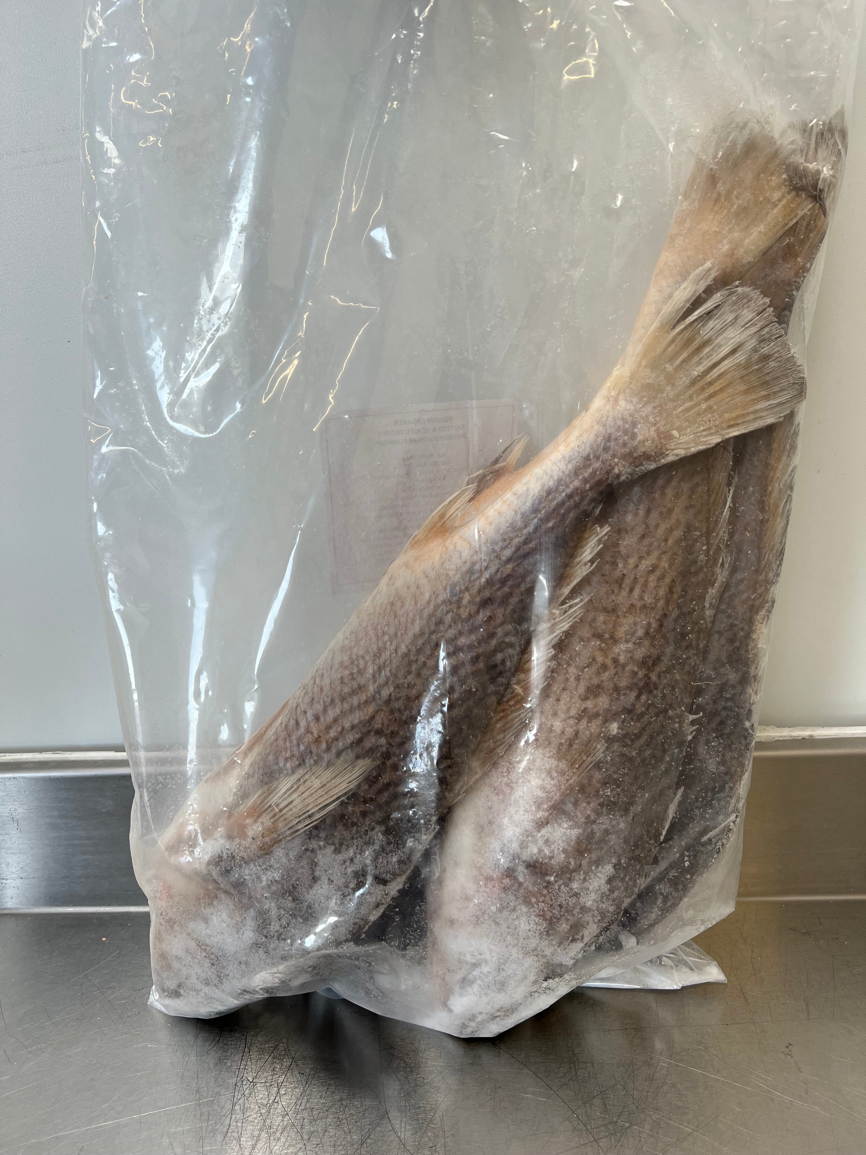 Cocker Fish Yellow Crocker Fish – Haske Foods